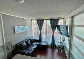 Departamento pleno centro de Viña del Mar